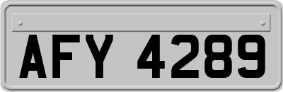 AFY4289