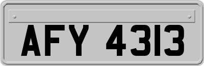 AFY4313