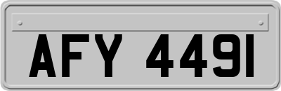 AFY4491