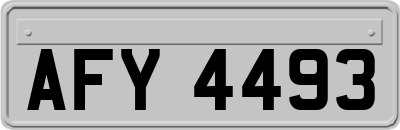 AFY4493