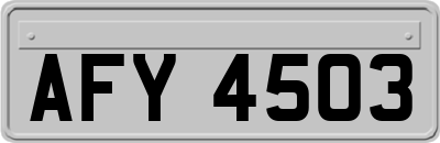 AFY4503