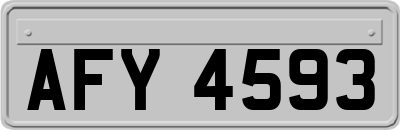 AFY4593