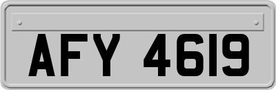 AFY4619