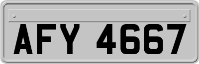 AFY4667