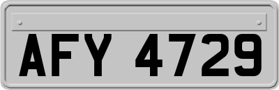 AFY4729