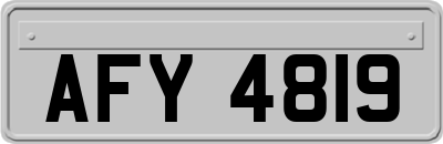 AFY4819