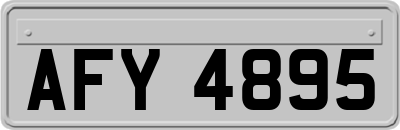 AFY4895