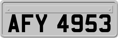 AFY4953