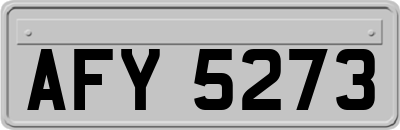 AFY5273
