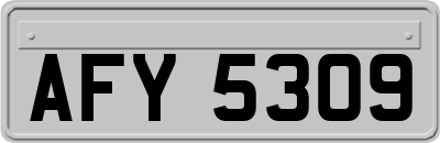 AFY5309
