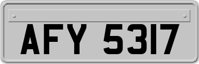AFY5317