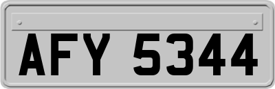 AFY5344