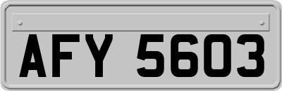AFY5603