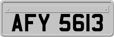 AFY5613