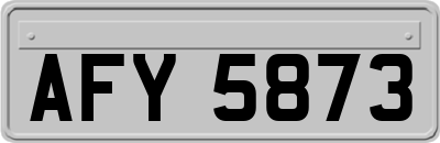 AFY5873