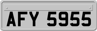 AFY5955