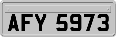 AFY5973