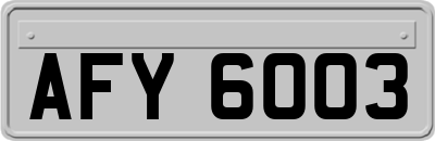 AFY6003