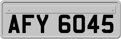 AFY6045