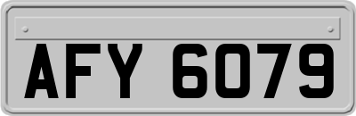 AFY6079