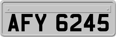 AFY6245