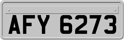 AFY6273