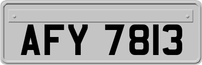 AFY7813