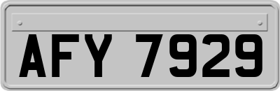 AFY7929