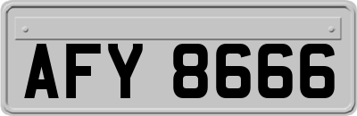 AFY8666