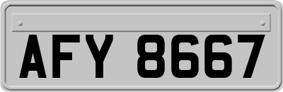 AFY8667