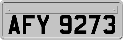 AFY9273
