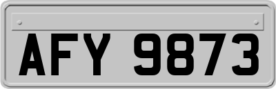 AFY9873