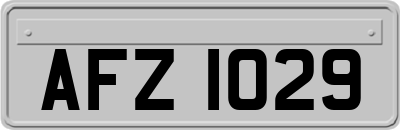 AFZ1029