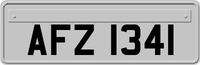AFZ1341