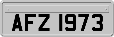 AFZ1973