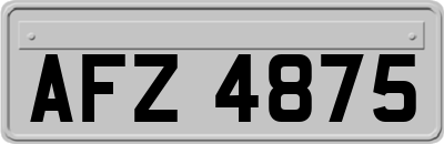 AFZ4875