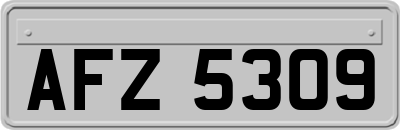 AFZ5309