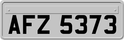 AFZ5373