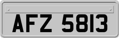 AFZ5813