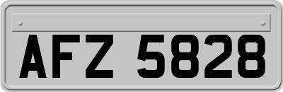 AFZ5828