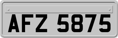AFZ5875