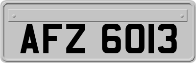AFZ6013
