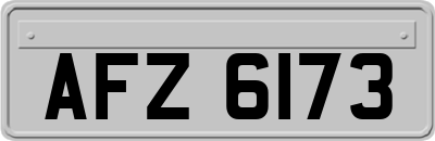AFZ6173