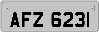 AFZ6231