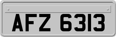 AFZ6313