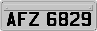 AFZ6829
