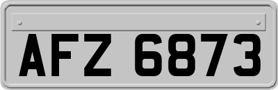 AFZ6873