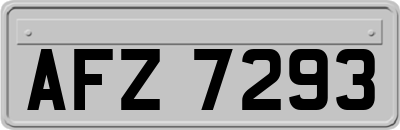 AFZ7293