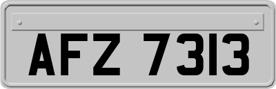 AFZ7313