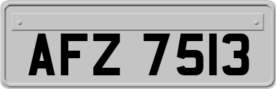 AFZ7513